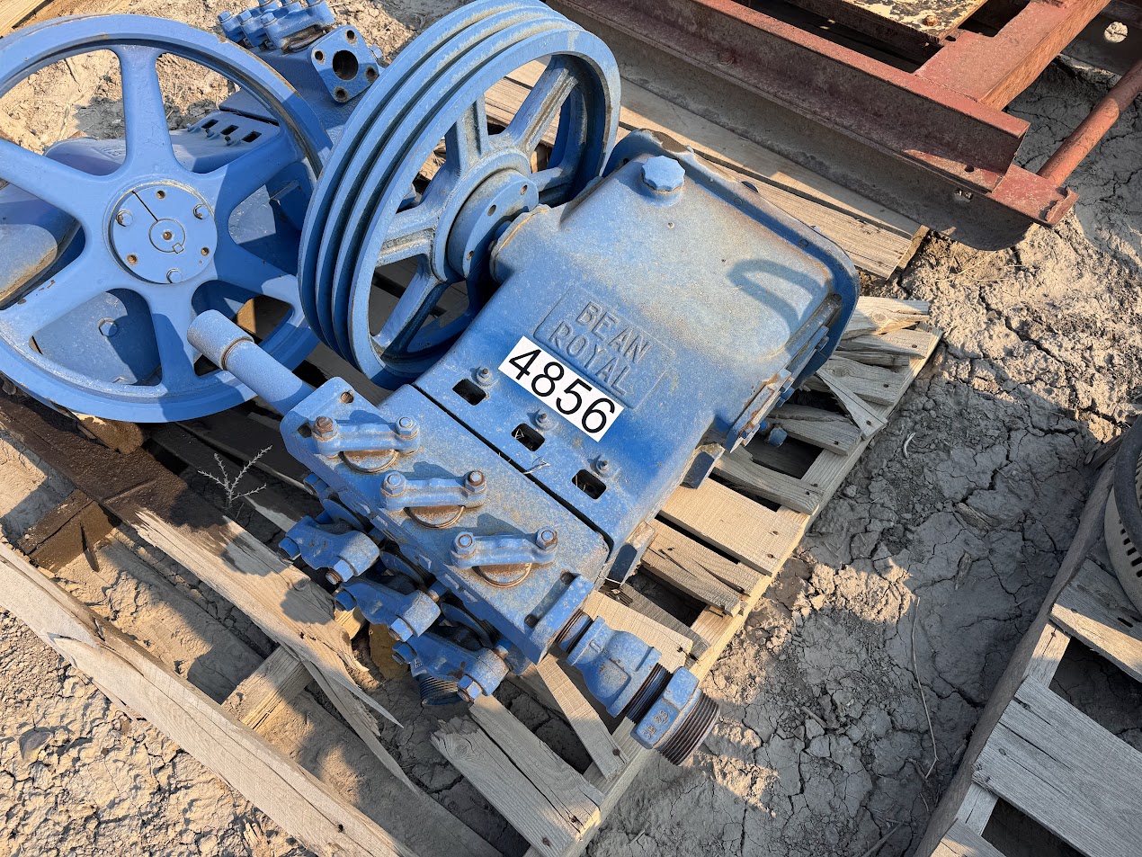 Bean Royal - Generic Model